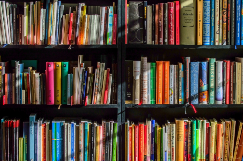 vitrine-NICE-min_books_bookstore_book_reading_shop_writer_sale_books_read-822866